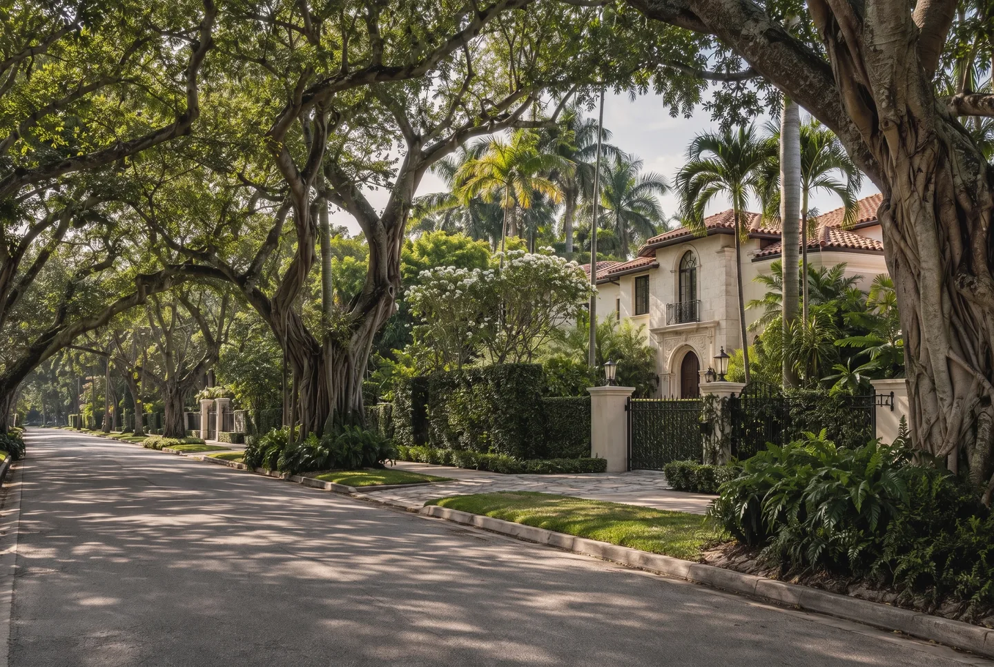 Mediterranean-style estate behind mature tree canopy